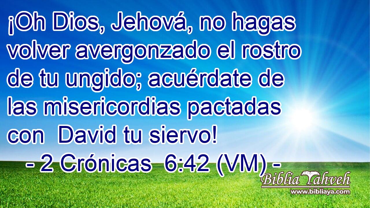  ¡Oh Dios, Jehová, no hagas volver avergonzado el rostro de tu ungido; acuérdate de las misericordias pactadas con  David tu siervo! 