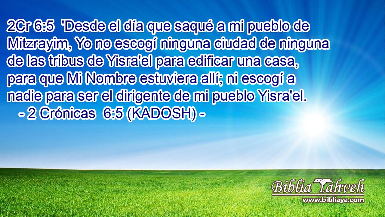  'Desde el día que saqué a mi pueblo de Mitzrayim, Yo no escogí ninguna ciudad de ninguna de las tribus de Yisra'el para edificar una casa, para que Mi Nombre estuviera allí; ni escogí a nadie para ser el dirigente de mi pueblo Yisra'el. 