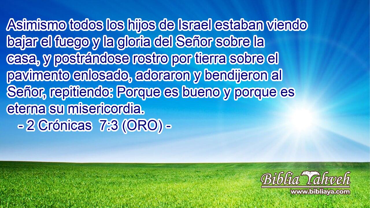  Asimismo todos los hijos de Israel estaban viendo bajar el fuego y la gloria del Señor sobre la casa, y postrándose rostro por tierra sobre el pavimento enlosado, adoraron y bendijeron al Señor, repitiendo: Porque es bueno y porque es eterna su misericordia. 