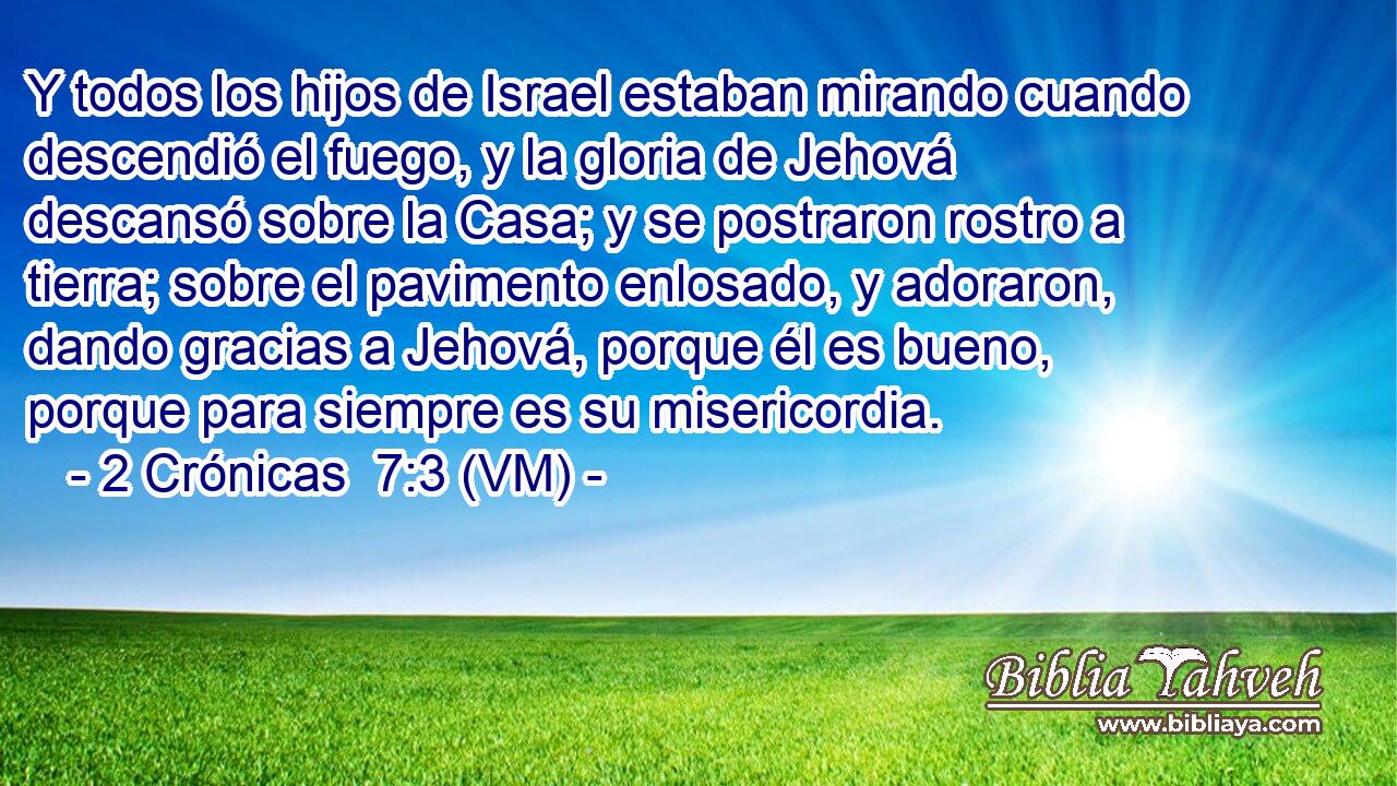  Y todos los hijos de Israel estaban mirando cuando descendió el fuego, y la gloria de Jehová descansó sobre la Casa; y se postraron rostro a tierra; sobre el pavimento enlosado, y adoraron, dando gracias a Jehová, porque él es bueno, porque para siempre es su misericordia. 