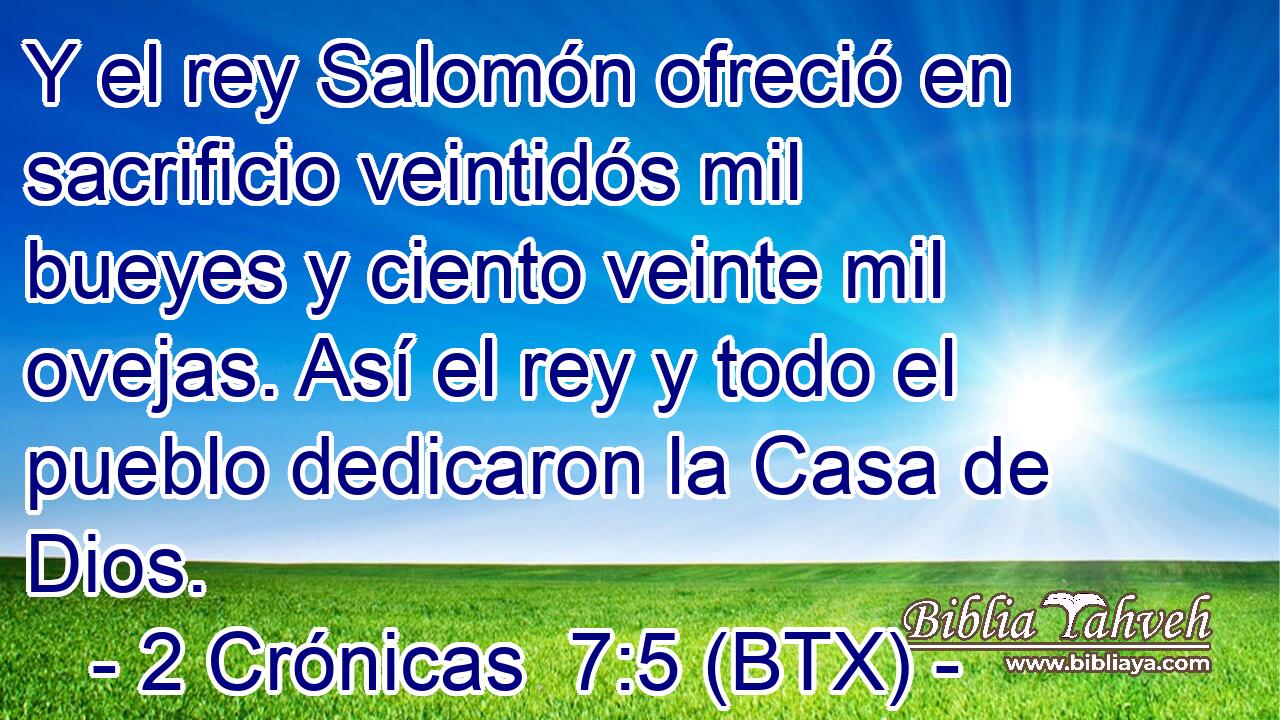 Y el rey Salomón ofreció en sacrificio veintidós mil bueyes y ciento veinte mil ovejas. Así el rey y todo el pueblo dedicaron la Casa de Dios.
