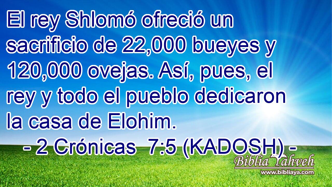  El rey Shlomó ofreció un sacrificio de 22,000 bueyes y 120,000 ovejas. Así, pues, el rey y todo el pueblo dedicaron la casa de Elohim. 