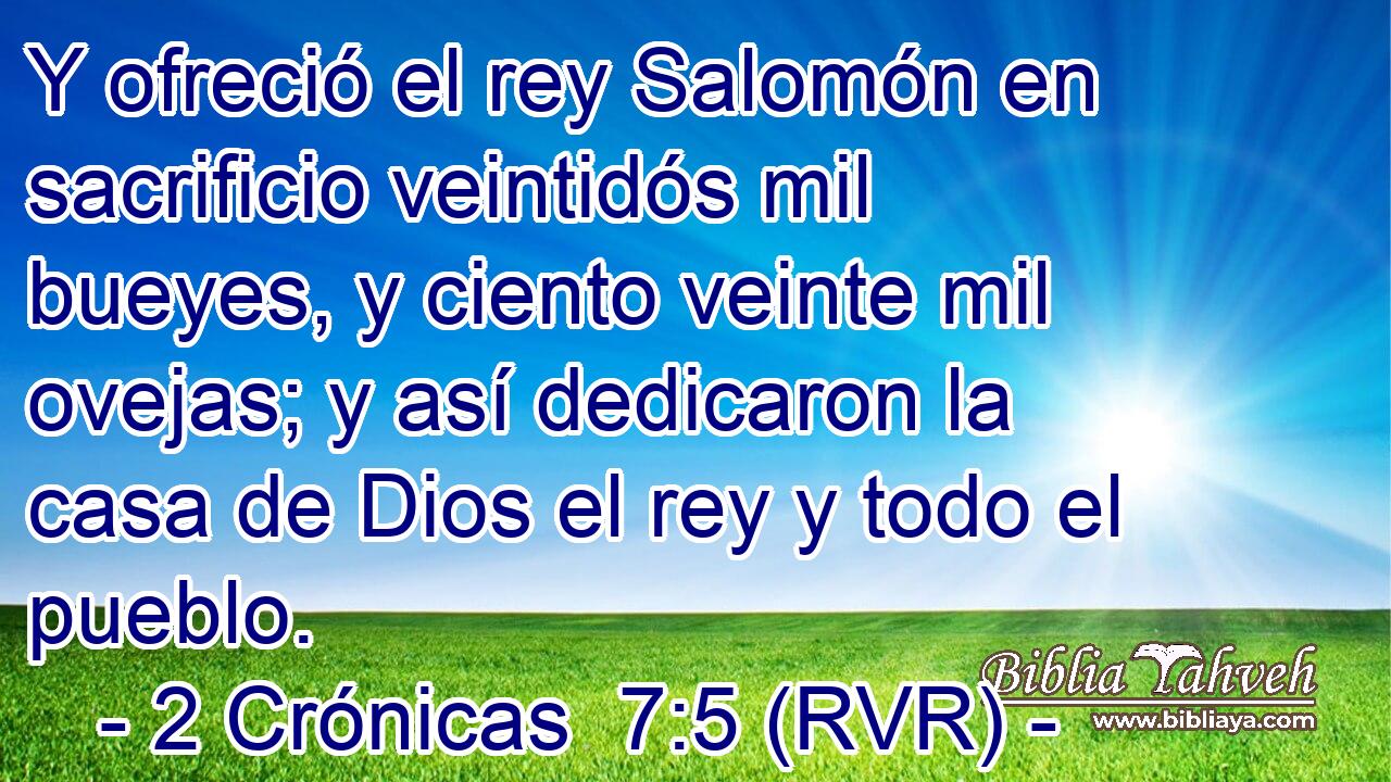 Y ofreció el rey Salomón en sacrificio veintidós mil bueyes, y ciento veinte mil ovejas; y así dedicaron la casa de Dios el rey y todo el pueblo.