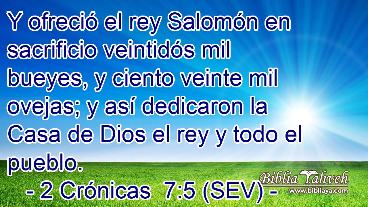 Y ofreció el rey Salomón en sacrificio veintidós mil bueyes, y ciento veinte mil ovejas; y así dedicaron la Casa de Dios el rey y todo el pueblo.