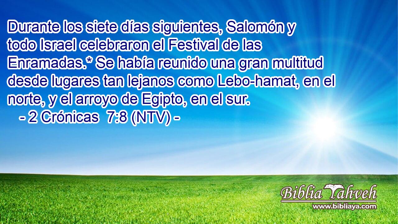Durante los siete días siguientes, Salomón y todo Israel celebraron el Festival de las Enramadas.* Se había reunido una gran multitud desde lugares tan lejanos como Lebo-hamat, en el norte, y el arroyo de Egipto, en el sur.