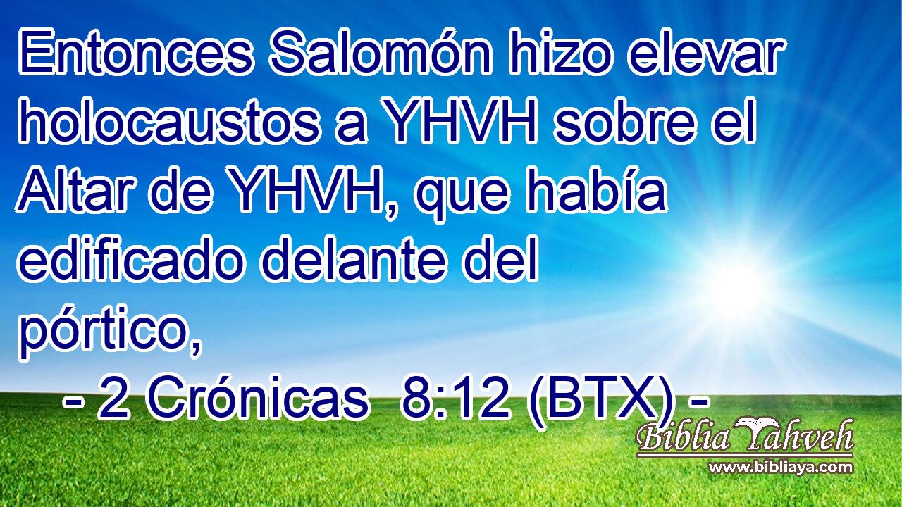Entonces Salomón hizo elevar holocaustos a YHVH sobre el Altar de YHVH, que había edificado delante del pórtico,