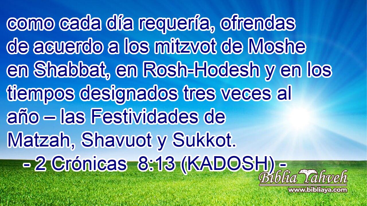  como cada día requería, ofrendas de acuerdo a los mitzvot de Moshe en Shabbat, en Rosh-Hodesh y en los tiempos designados tres veces al año – las Festividades de Matzah, Shavuot y Sukkot. 