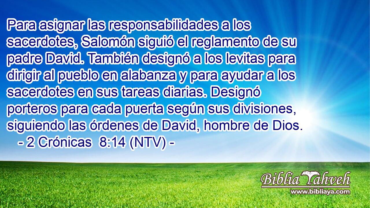Para asignar las responsabilidades a los sacerdotes, Salomón siguió el reglamento de su padre David. También designó a los levitas para dirigir al pueblo en alabanza y para ayudar a los sacerdotes en sus tareas diarias. Designó porteros para cada puerta según sus divisiones, siguiendo las órdenes de David, hombre de Dios.