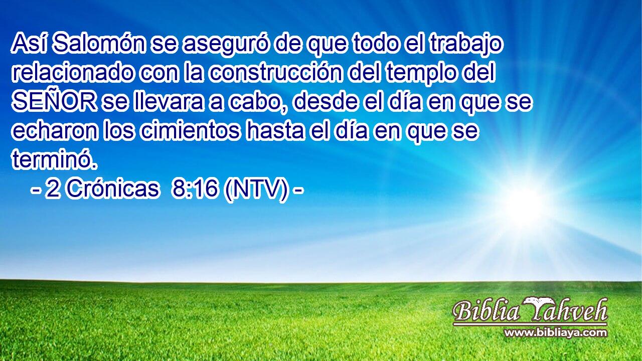 Así Salomón se aseguró de que todo el trabajo relacionado con la construcción del templo del SEÑOR se llevara a cabo, desde el día en que se echaron los cimientos hasta el día en que se terminó.