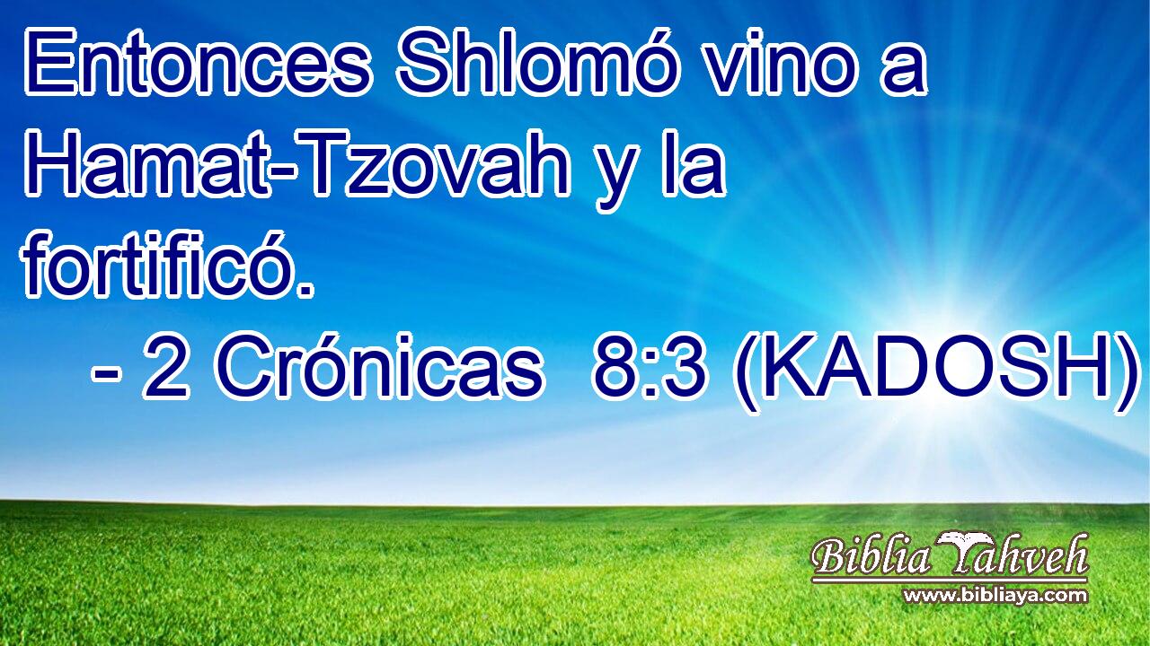  Entonces Shlomó vino a Hamat-Tzovah y la fortificó. 