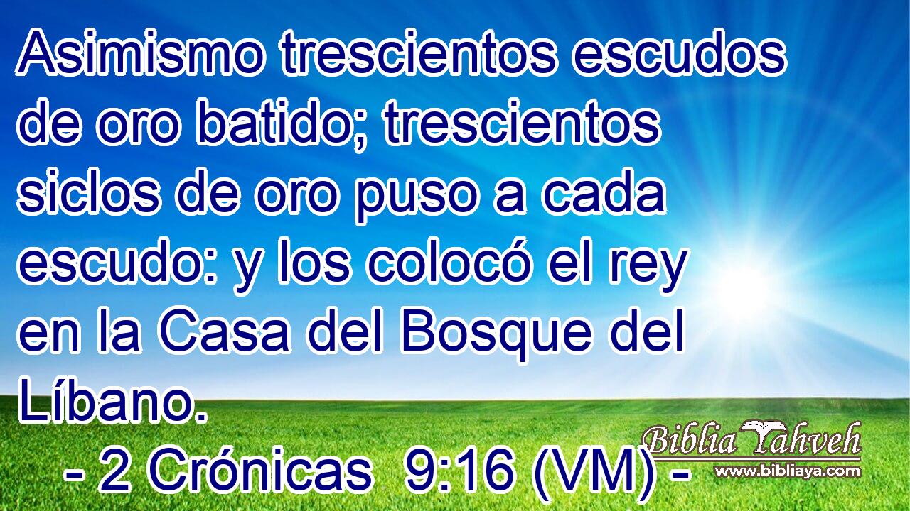  Asimismo trescientos escudos de oro batido; trescientos siclos de oro puso a cada escudo: y los colocó el rey en la Casa del Bosque del Líbano. 
