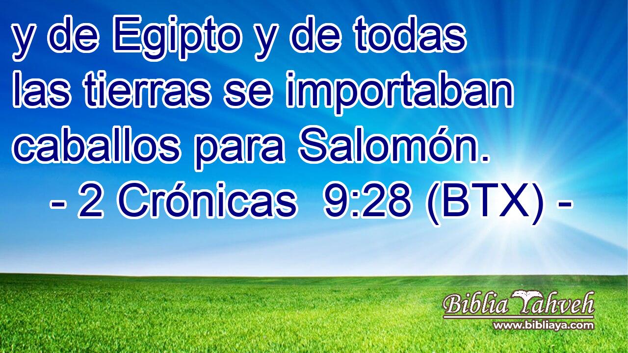 y de Egipto y de todas las tierras se importaban caballos para Salomón.