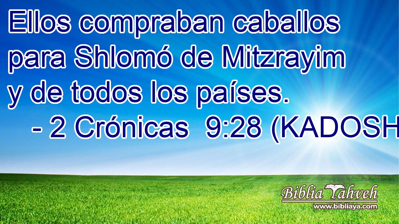  Ellos compraban caballos para Shlomó de Mitzrayim y de todos los países. 