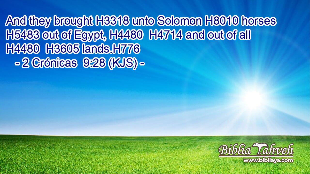 And they brought H3318 unto Solomon H8010 horses H5483 out of Egypt, H4480  H4714 and out of all H4480  H3605 lands.H776