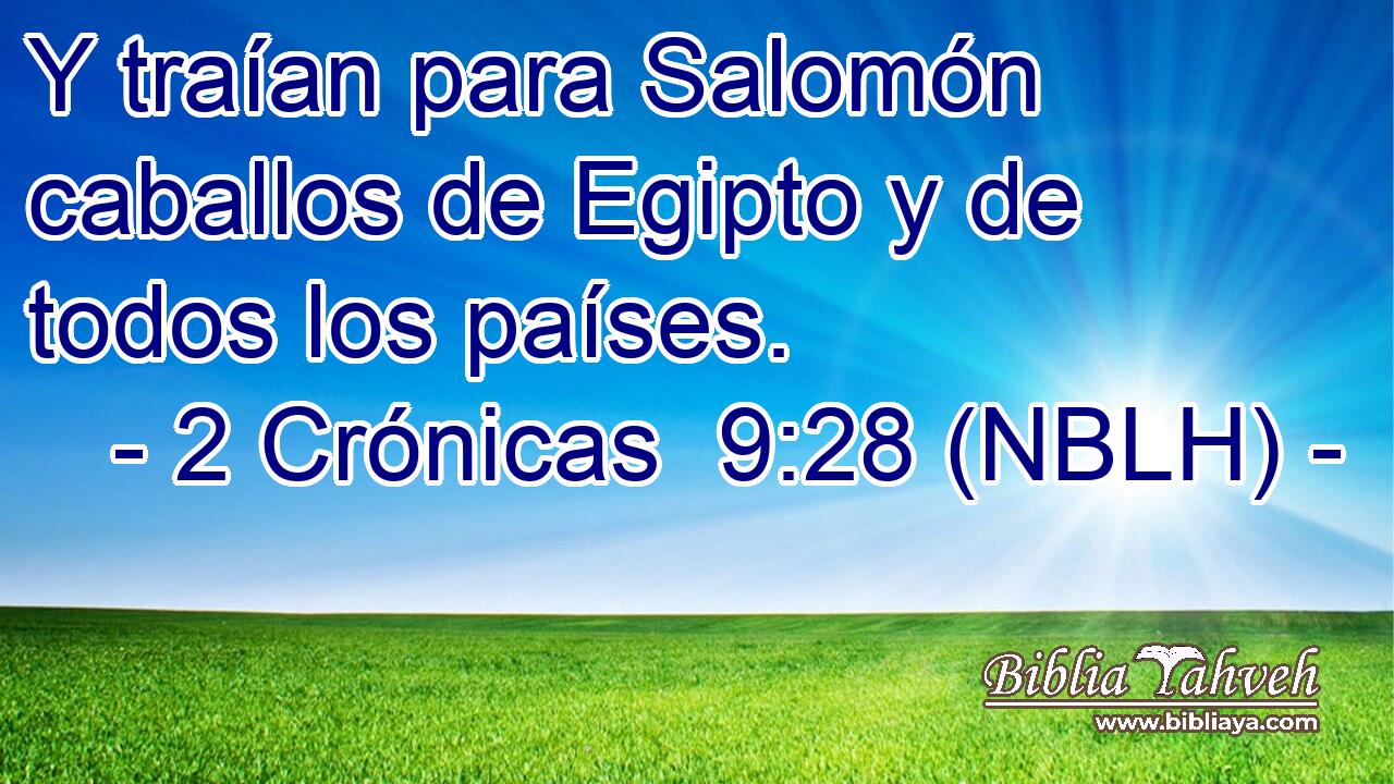  Y traían para Salomón caballos de Egipto y de todos los países. 