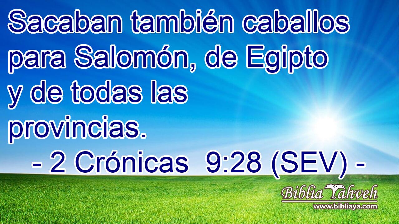 Sacaban también caballos para Salomón, de Egipto y de todas las provincias.