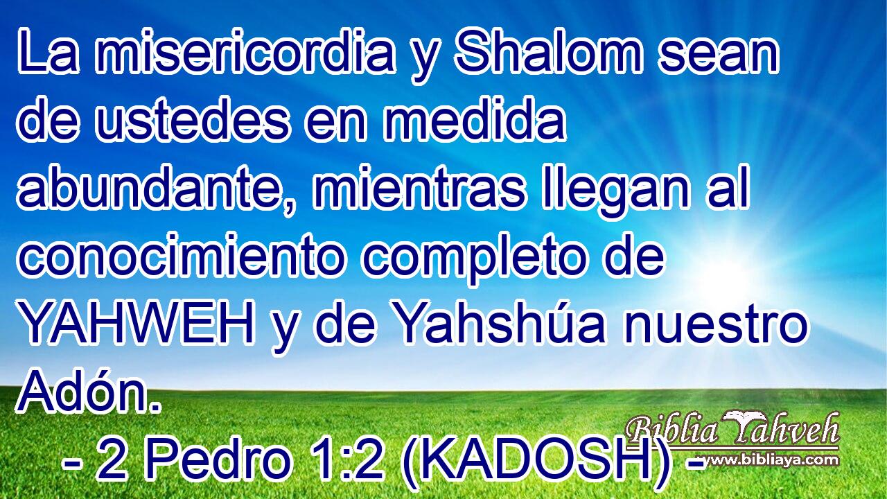  La misericordia y Shalom sean de ustedes en medida abundante, mientras llegan al conocimiento completo de YAHWEH y de Yahshúa nuestro Adón. 