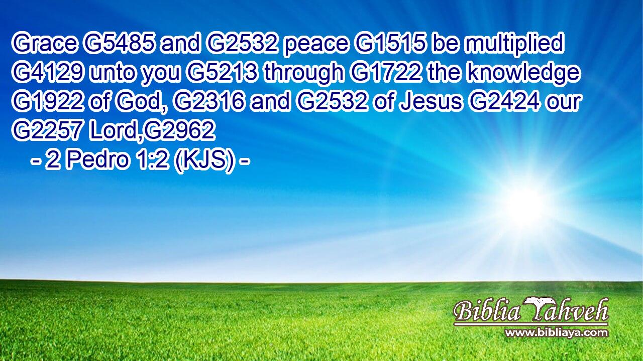 Grace G5485 and G2532 peace G1515 be multiplied G4129 unto you G5213 through G1722 the knowledge G1922 of God, G2316 and G2532 of Jesus G2424 our G2257 Lord,G2962