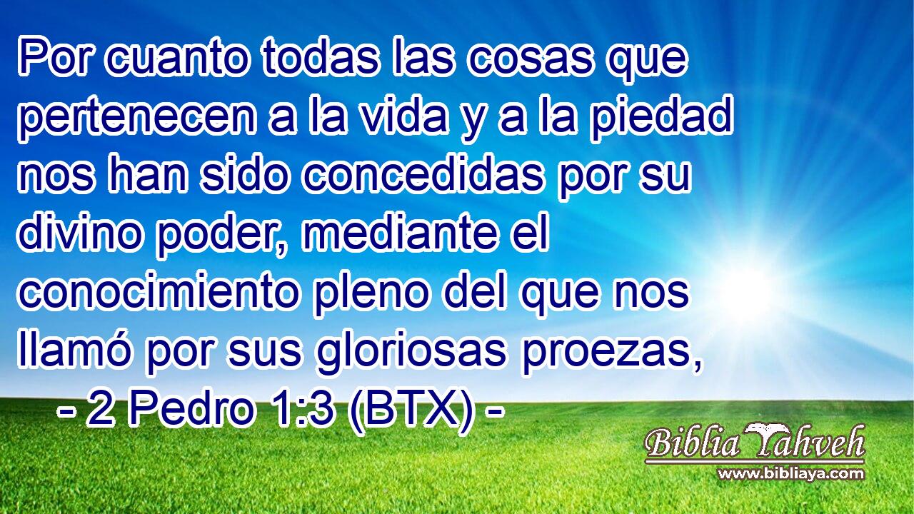 Por cuanto todas las cosas que pertenecen a la vida y a la piedad nos han sido concedidas por su divino poder, mediante el conocimiento pleno del que nos llamó por sus gloriosas proezas,