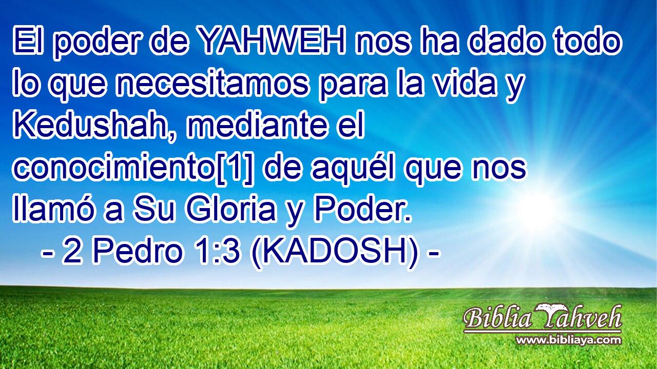  El poder de YAHWEH nos ha dado todo lo que necesitamos para la vida y Kedushah, mediante el conocimiento[1] de aquél que nos llamó a Su Gloria y Poder. 