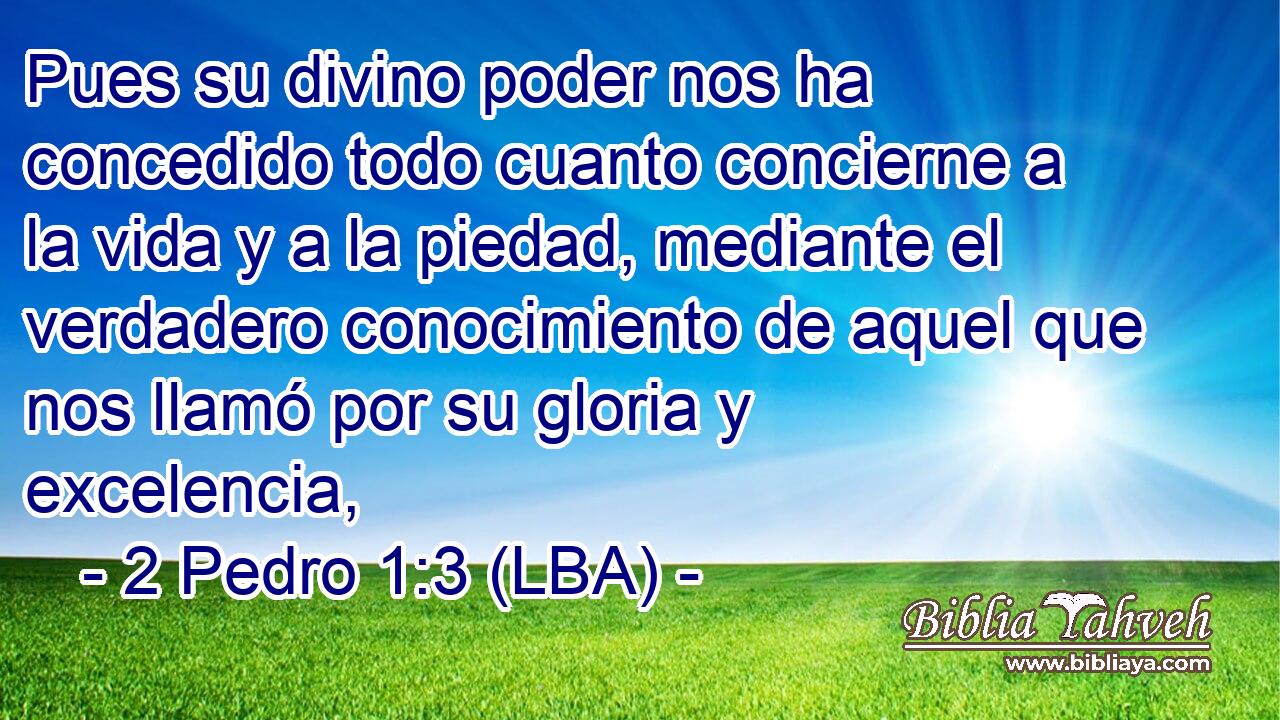 Pues su divino poder nos ha concedido todo cuanto concierne a la vida y a la piedad, mediante el verdadero conocimiento de aquel que nos llamó por su gloria y excelencia,