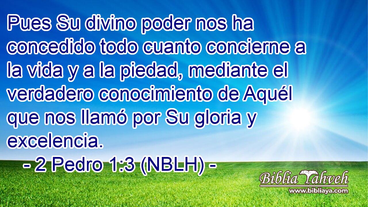  Pues Su divino poder nos ha concedido todo cuanto concierne a la vida y a la piedad, mediante el verdadero conocimiento de Aquél que nos llamó por Su gloria y excelencia. 