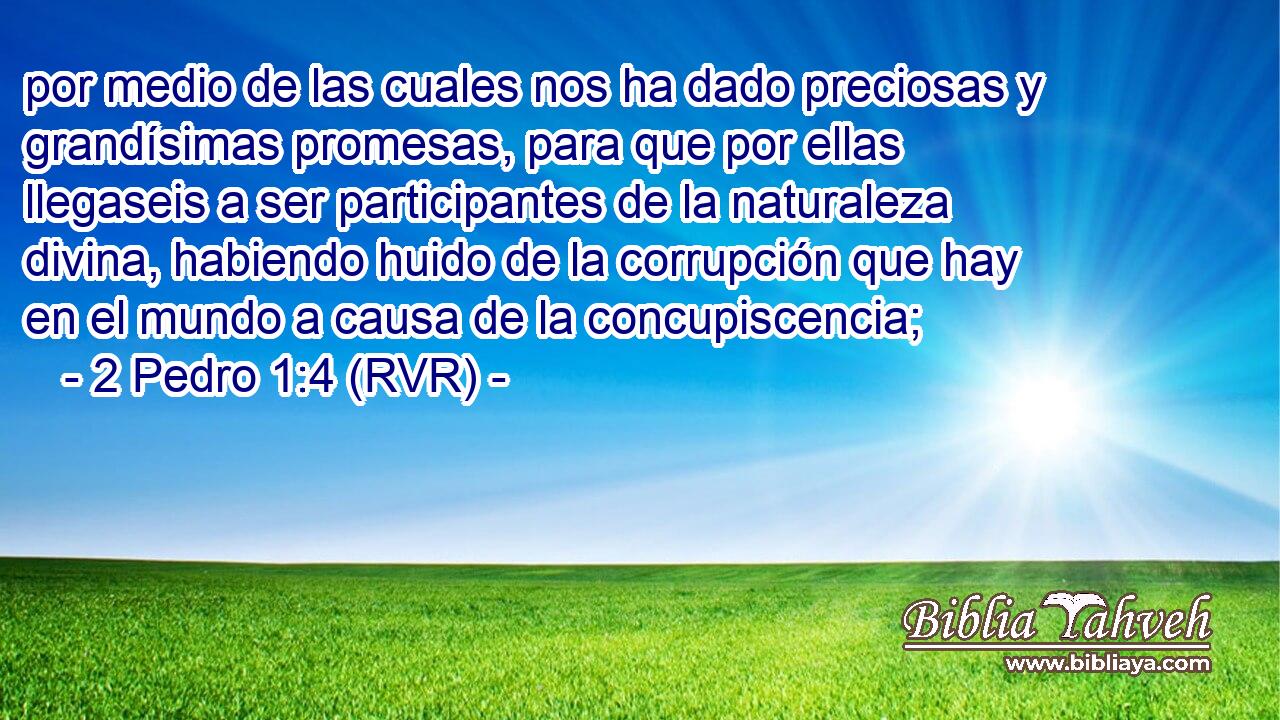 por medio de las cuales nos ha dado preciosas y grandísimas promesas, para que por ellas llegaseis a ser participantes de la naturaleza divina, habiendo huido de la corrupción que hay en el mundo a causa de la concupiscencia;