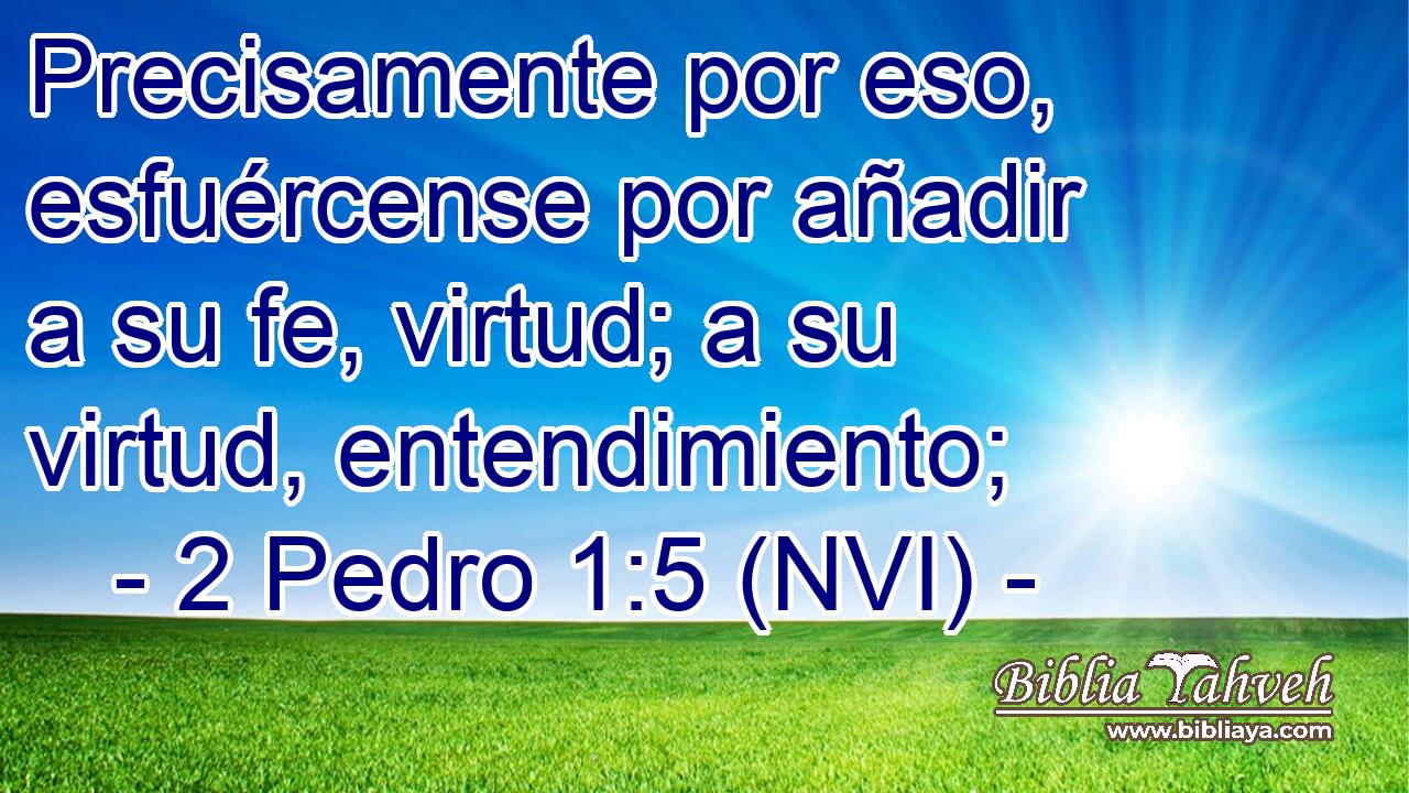  Precisamente por eso, esfuércense por añadir a su fe, virtud; a su virtud, entendimiento; 