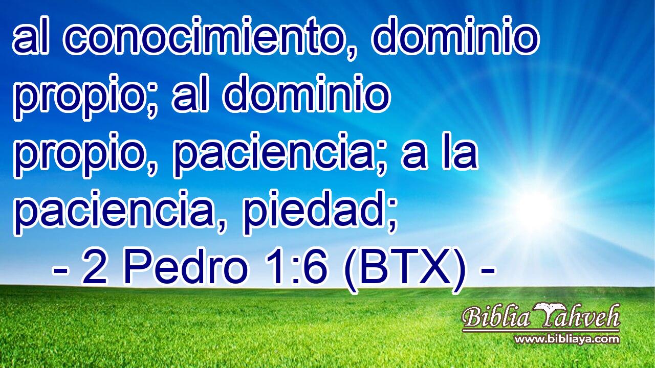 al conocimiento, dominio propio; al dominio propio, paciencia; a la paciencia, piedad;