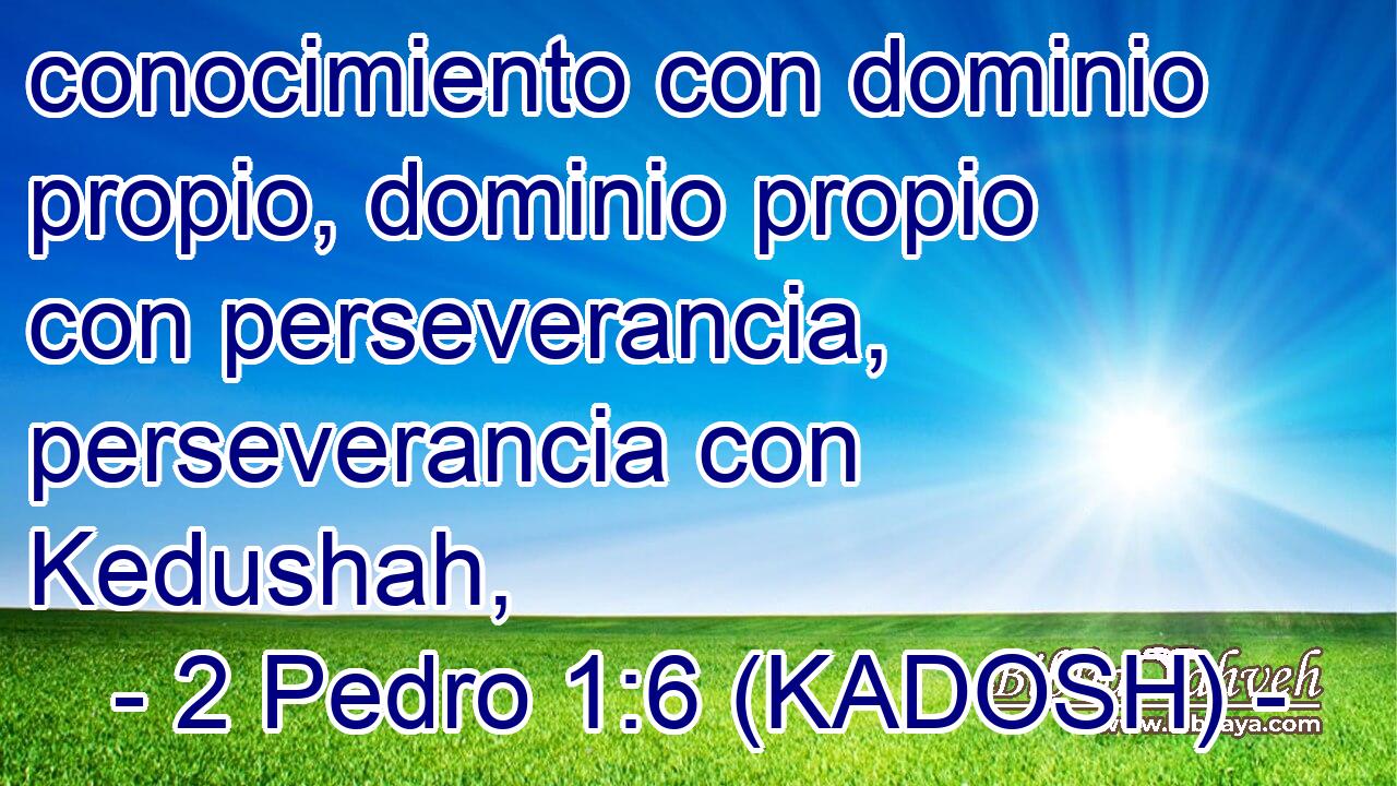  conocimiento con dominio propio, dominio propio con perseverancia, perseverancia con Kedushah, 