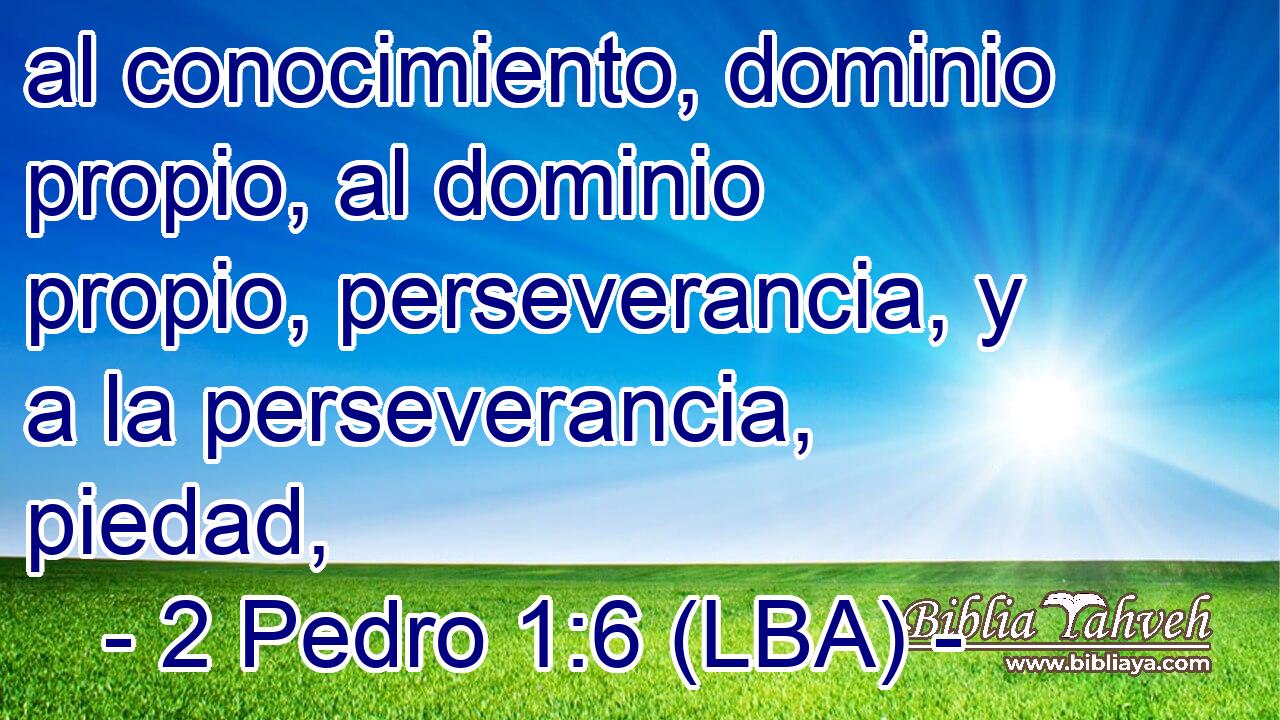 al conocimiento, dominio propio, al dominio propio, perseverancia, y a la perseverancia, piedad,