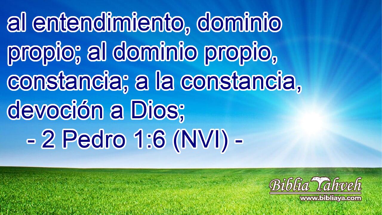  al entendimiento, dominio propio; al dominio propio, constancia; a la constancia, devoción a Dios; 