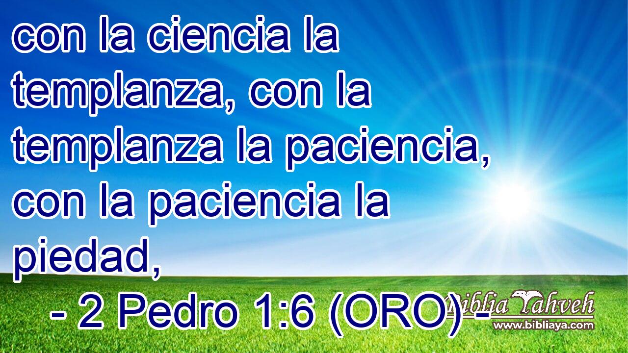  con la ciencia la templanza, con la templanza la paciencia, con la paciencia la piedad, 