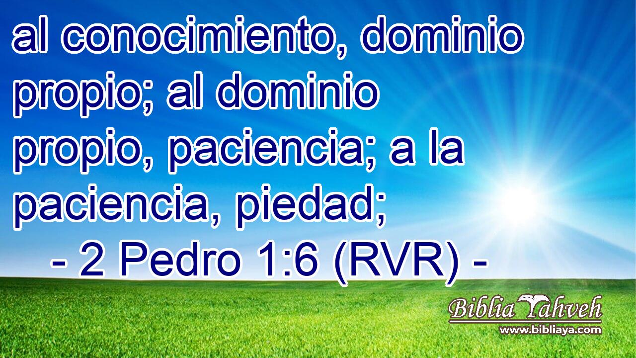 al conocimiento, dominio propio; al dominio propio, paciencia; a la paciencia, piedad;