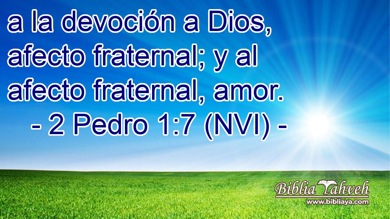  a la devoción a Dios, afecto fraternal; y al afecto fraternal, amor. 