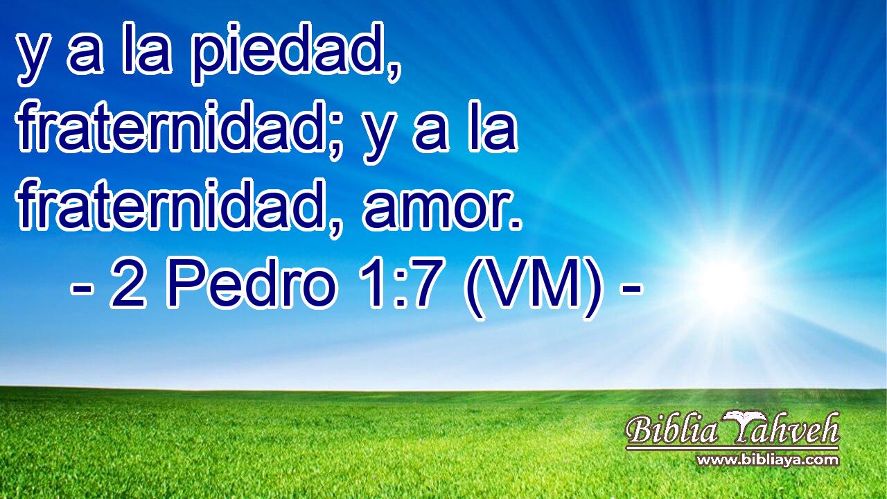  y a la piedad, fraternidad; y a la fraternidad, amor. 