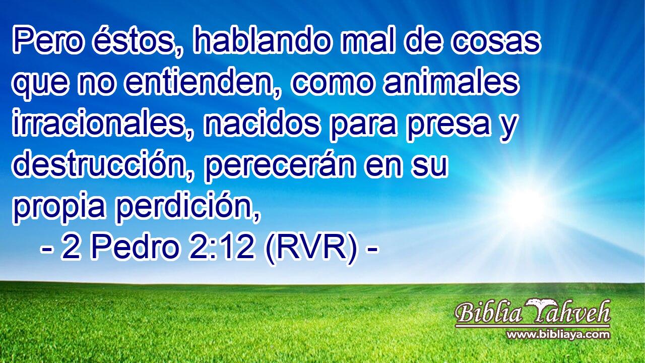 Pero éstos, hablando mal de cosas que no entienden, como animales irracionales, nacidos para presa y destrucción, perecerán en su propia perdición,