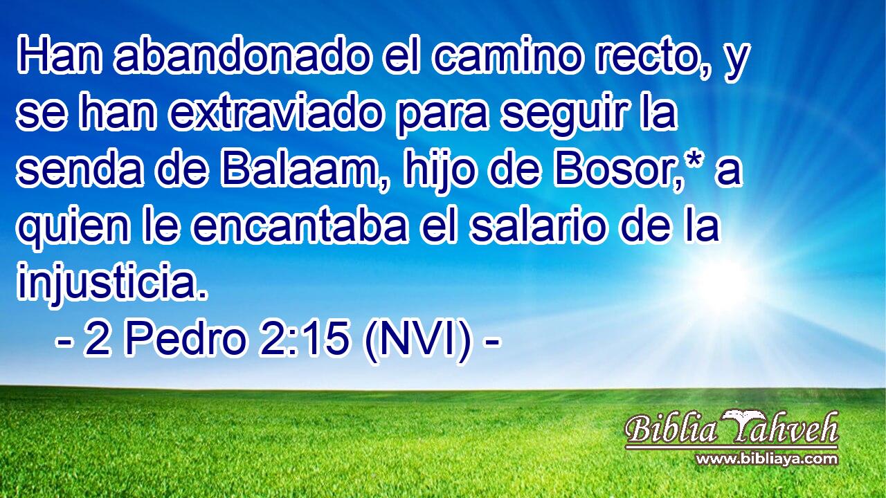  Han abandonado el camino recto, y se han extraviado para seguir la senda de Balaam, hijo de Bosor,* a quien le encantaba el salario de la injusticia. 