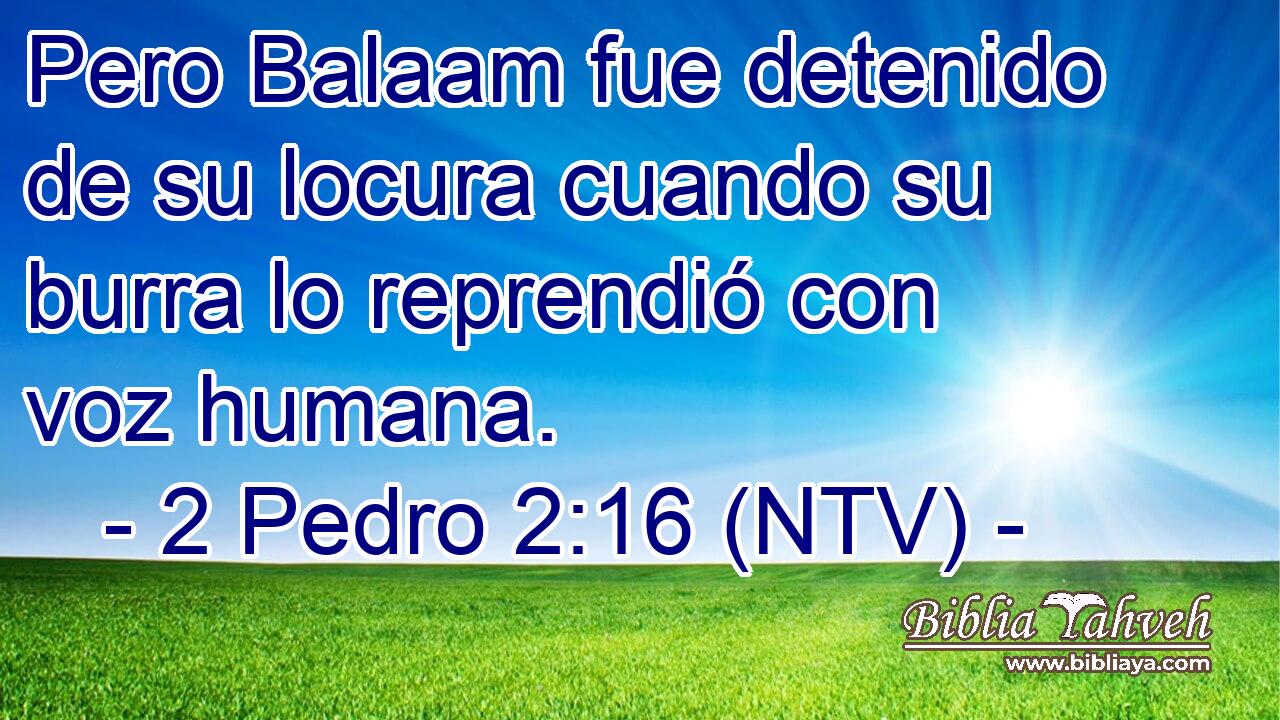 Pero Balaam fue detenido de su locura cuando su burra lo reprendió con voz humana.