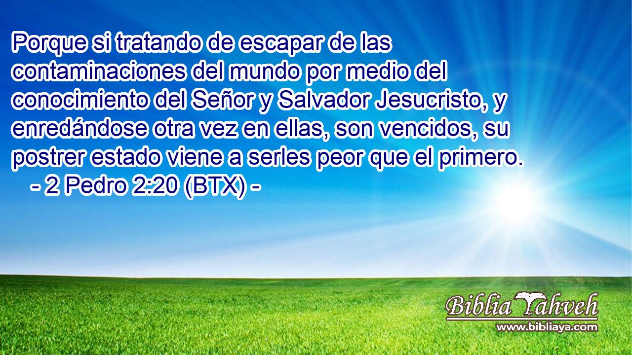 Porque si tratando de escapar de las contaminaciones del mundo por medio del conocimiento del Señor y Salvador Jesucristo, y enredándose otra vez en ellas, son vencidos, su postrer estado viene a serles peor que el primero.