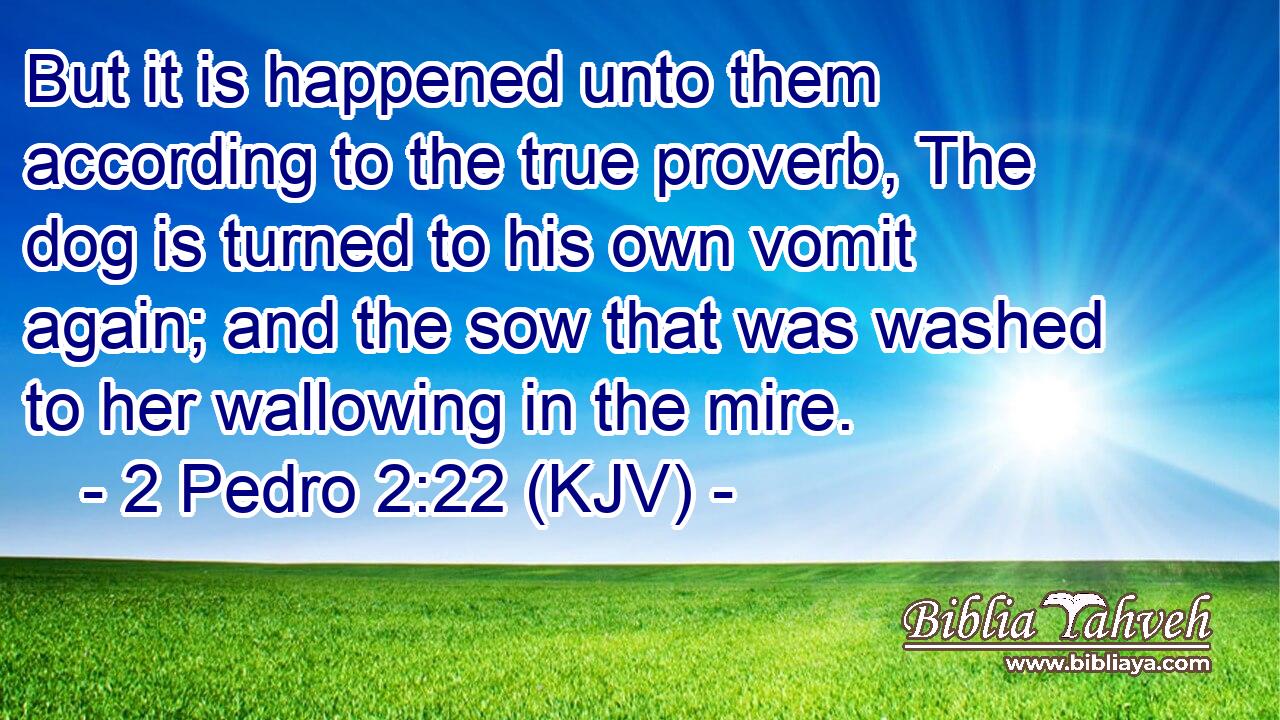 But it is happened unto them according to the true proverb, The dog is turned to his own vomit again; and the sow that was washed to her wallowing in the mire.