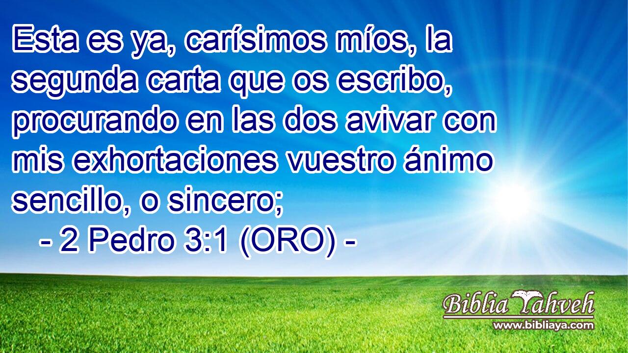  Esta es ya, carísimos míos, la segunda carta que os escribo, procurando en las dos avivar con mis exhortaciones vuestro ánimo sencillo, o sincero; 