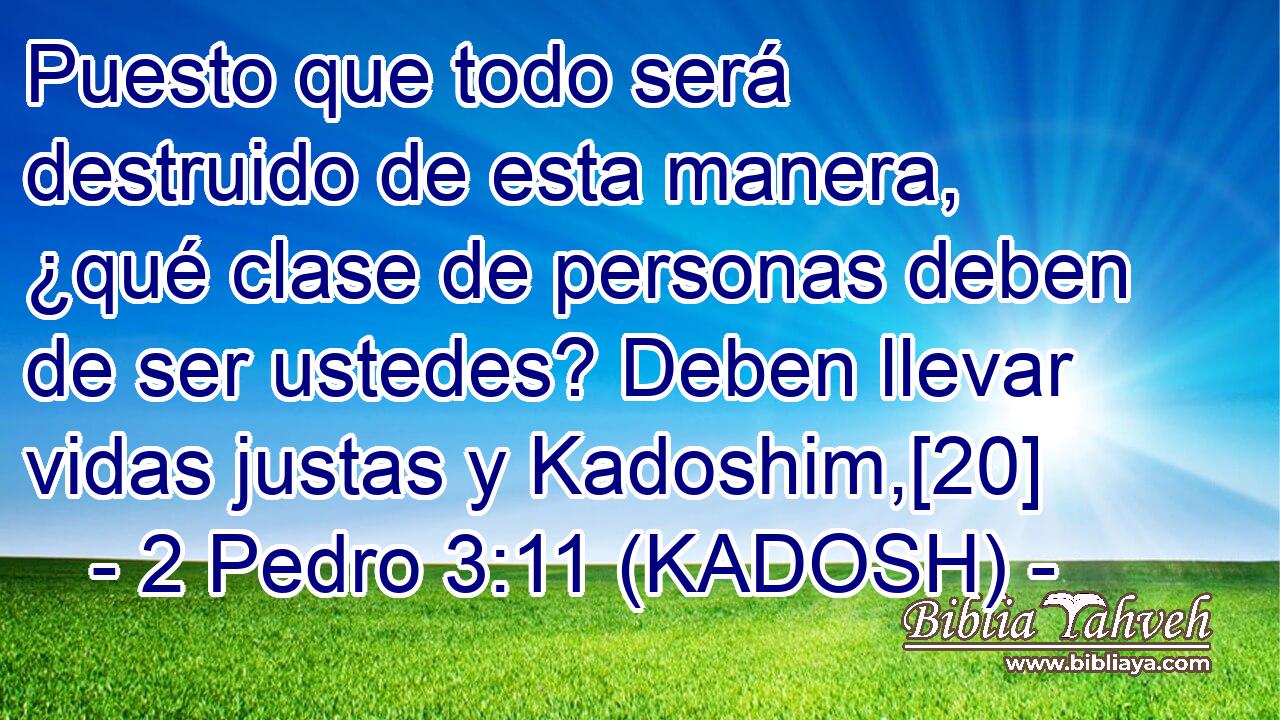  Puesto que todo será destruido de esta manera, ¿qué clase de personas deben de ser ustedes? Deben llevar vidas justas y Kadoshim,[20] 