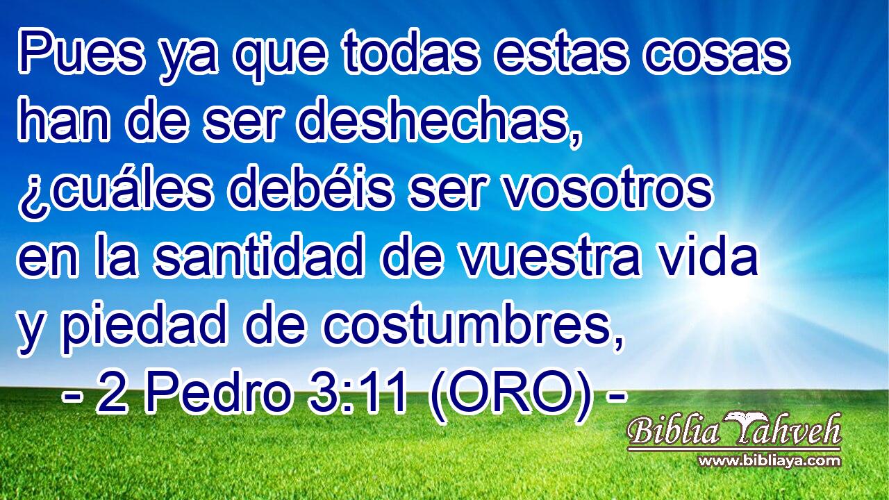  Pues ya que todas estas cosas han de ser deshechas, ¿cuáles debéis ser vosotros en la santidad de vuestra vida y piedad de costumbres, 