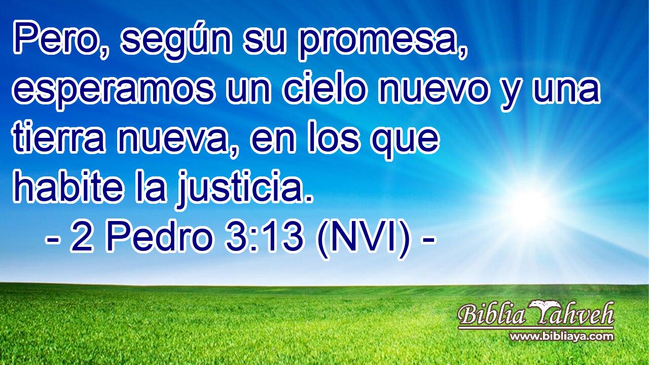  Pero, según su promesa, esperamos un cielo nuevo y una tierra nueva, en los que habite la justicia. 