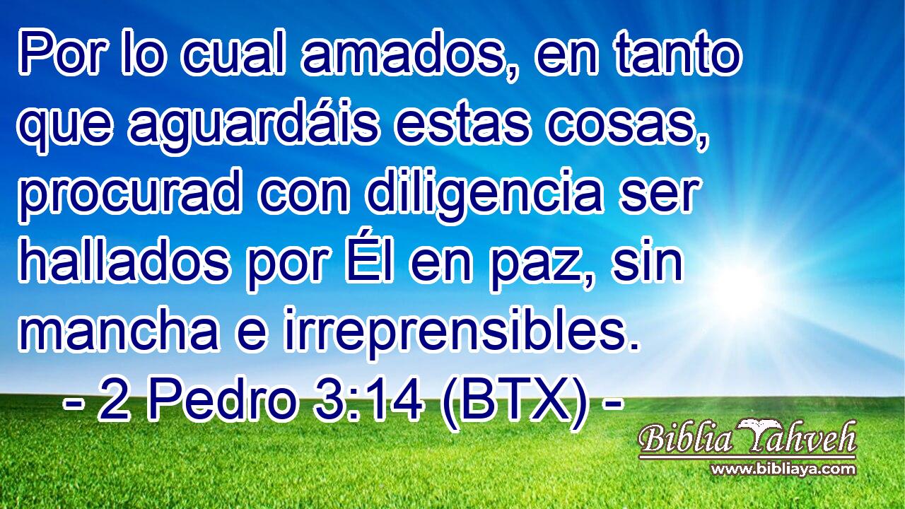 Por lo cual amados, en tanto que aguardáis estas cosas, procurad con diligencia ser hallados por Él en paz, sin mancha e irreprensibles.