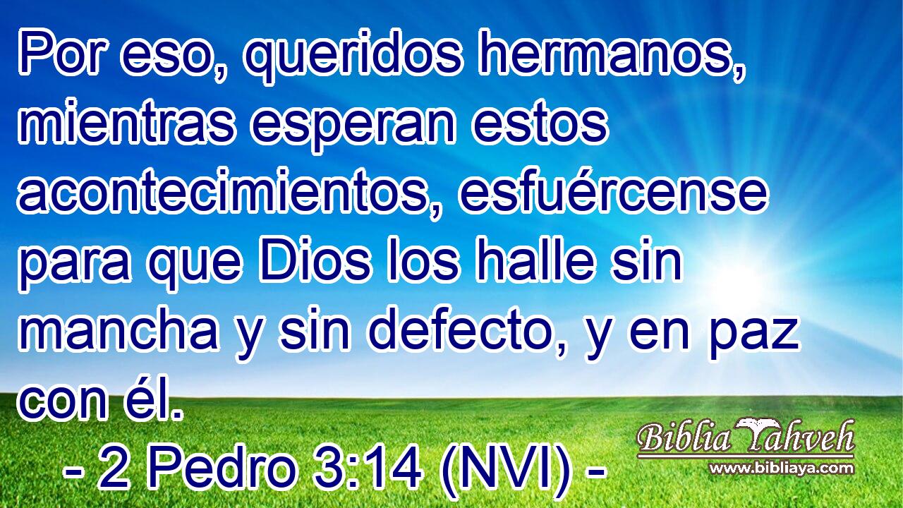  Por eso, queridos hermanos, mientras esperan estos acontecimientos, esfuércense para que Dios los halle sin mancha y sin defecto, y en paz con él. 