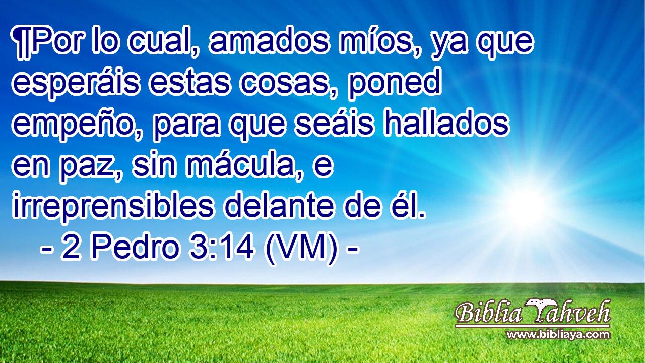  ¶Por lo cual, amados míos, ya que esperáis estas cosas, poned empeño, para que seáis hallados en paz, sin mácula, e irreprensibles delante de él. 