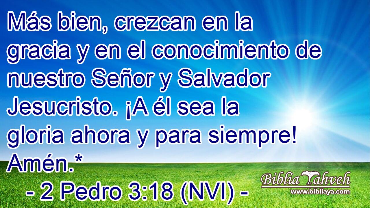  Más bien, crezcan en la gracia y en el conocimiento de nuestro Señor y Salvador Jesucristo. ¡A él sea la gloria ahora y para siempre! Amén.* 