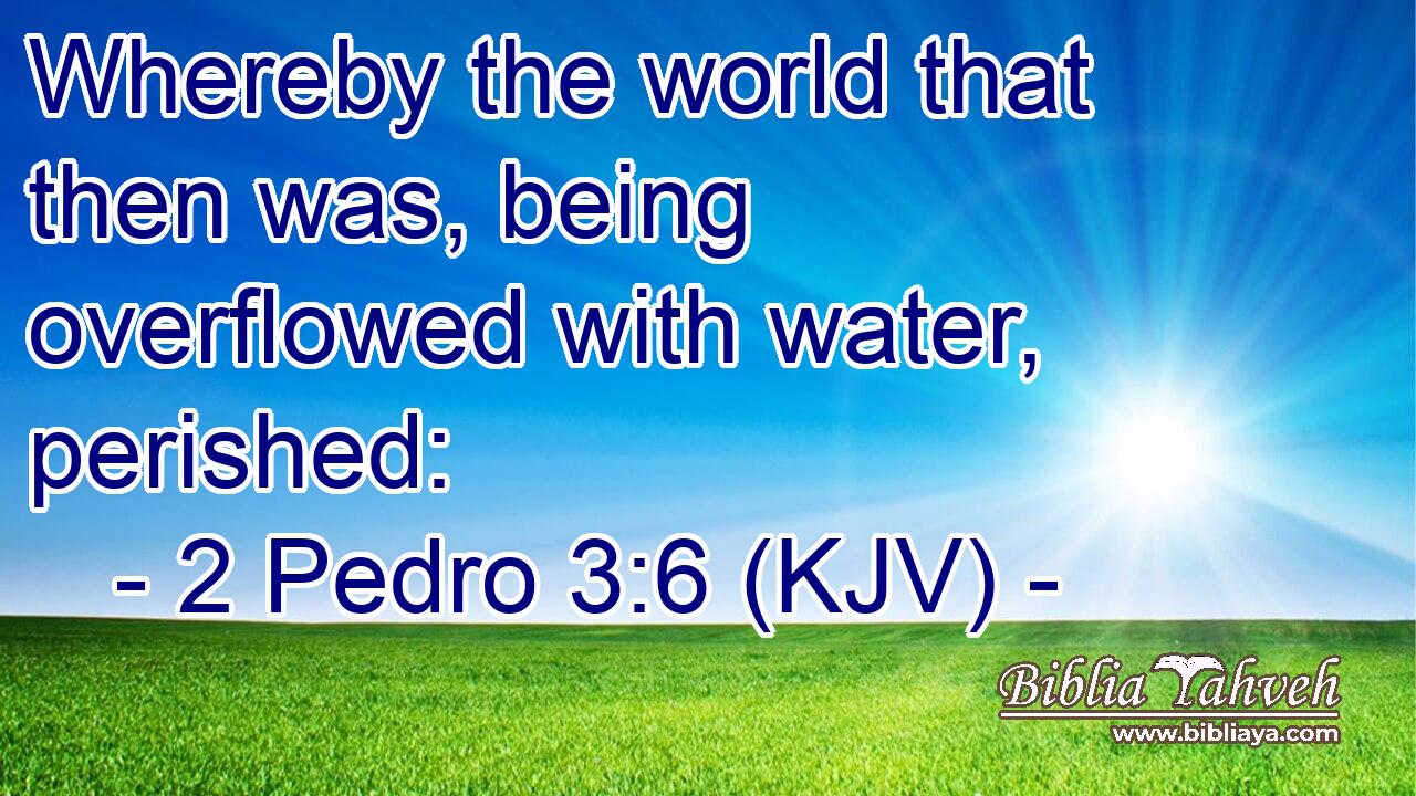 Whereby the world that then was, being overflowed with water, perished: